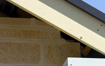 soffit repair Earlsheaton