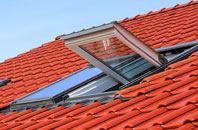 Earlsheaton roof window